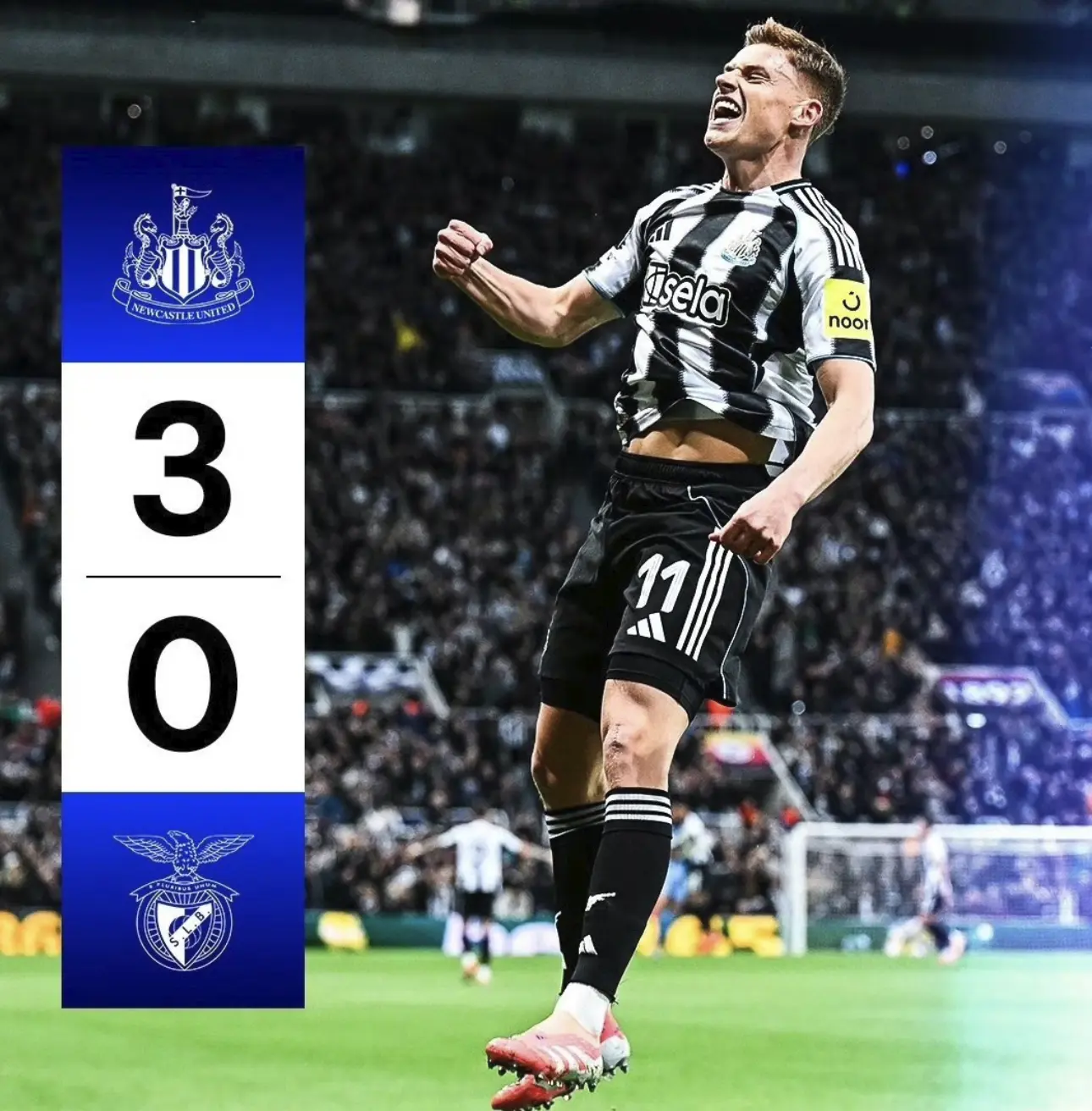 其中卫冕冠 其中卫冕冠